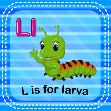 Flashcard letter L is for larva