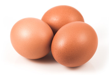 Eggs isolated on white background