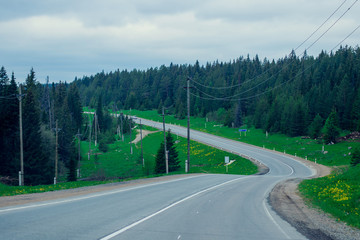 Asphalt road in green forest