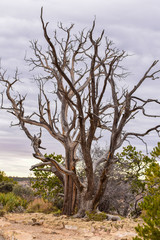 Obraz premium Arizona Grand Canyon and Antelope Canyon 