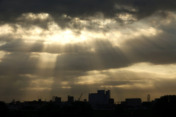 夜明けの光芒_770