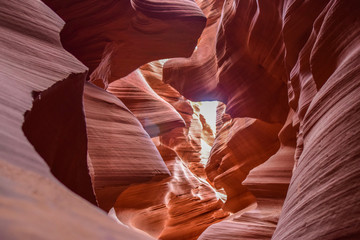 Arizona Grand Canyon and Antelope Canyon 