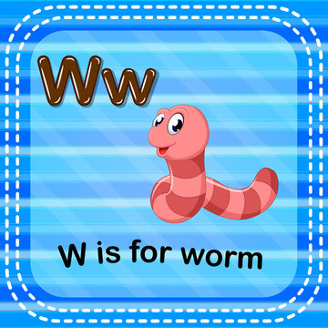 Flashcard letter W is for worm