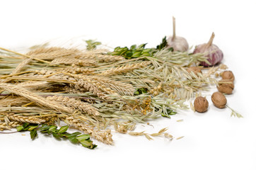 Stems of wheet, rye, flax, oat and periwinkle on white background. Concept symbol of welfare and...