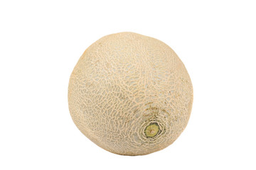 isolated cantaloupe melon