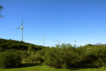 Wind turbines on the green hills of Andalusia