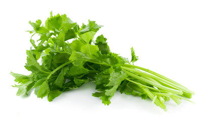 Fresh celery isolated on white background