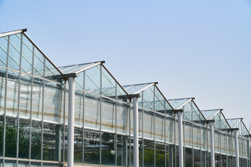 Obraz premium side view of greenhouse
