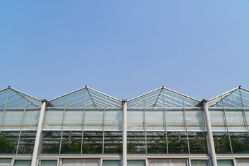 side view of greenhouse