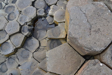 the giant causeway