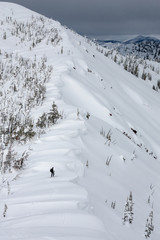 Skier On An Alpine Ridge