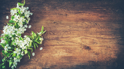 Spring blooming branches on wooden background