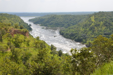 Il Nilo sotto le cascate Murchison
