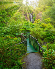 Idyllic garden in Dunvegan Castle in the Isle of Skye, Scotland.