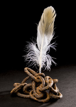 Old rusty chain holds a bird's feather. Metaphor of freedom of creation. Isolated on dark background.  Studio Shot.