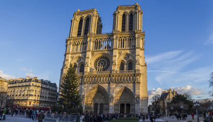 Fototapeta na wymiar Notre Dame (París)