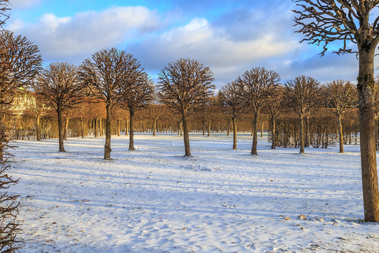 Catherine Park in Pushkin in winter