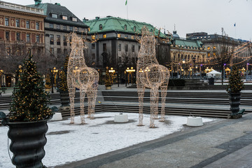 Hjortar som Juldekoration Kungsträdgården © Roland