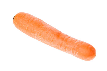 Clear orange carrot isolated on white background