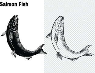 Salmon art highly detailed in line art style.Fish vector by hand drawing.Fish tattoo on white background.Black and white fish vector on white background.Salmon fish sketch for coloring book.