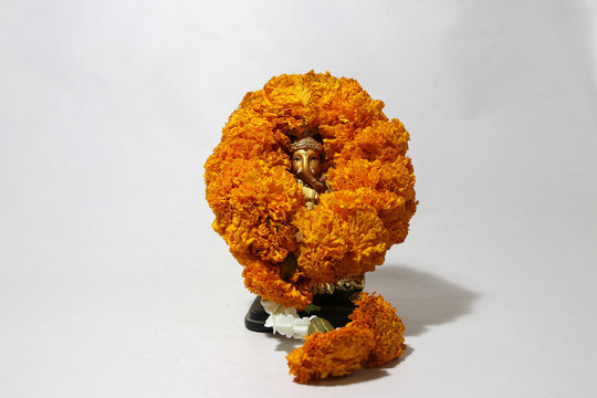 Ganesha made from brass with garland yellow marigold flower and white background, the son of Uma Devi god in Hinduism and Brahmanism. God of knowledge and arts.