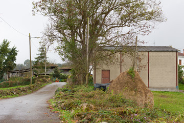 Haystack in Asturian village. Asturias, Spain