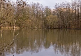 An einem kalten Nachmittag an einem See im Wald. Bäume reflektieren im Wasser