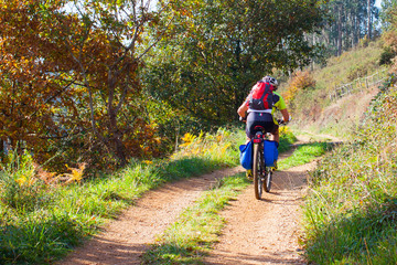Cyclist on the forest path in autumn. Asturias, Spain