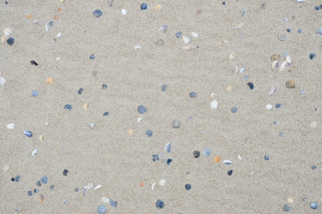 Fototapeta na wymiar Texture of coastal sand