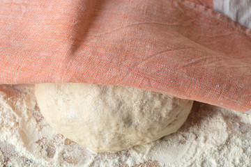 fresh raw dough ball on table