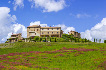 Tuscany - landscape with spring flowers
