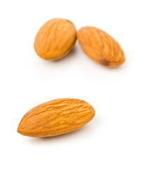 Macro of shelled almond kernels