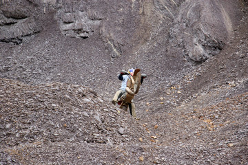 Motocrossfahrer im Gelände
