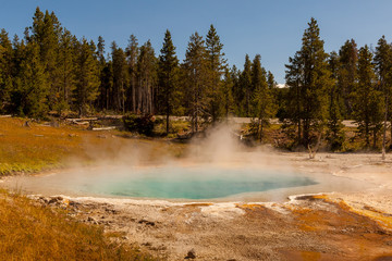 Yellowstone Nationalpark, USA