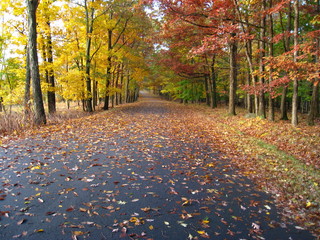 Fall In The Northeast