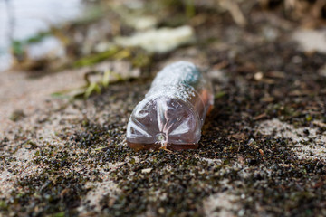 Waste and rubbish in the forest. Plastic bottles, cans and glass in the forest. Littered nature.