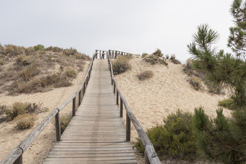 Obraz premium Huelva, Andalusia, Spain. Wooden walkway that crosses the natural park of Los Enebrales, near the park of Doñana.