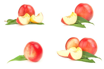 Collection of isolated peaches isolated on white