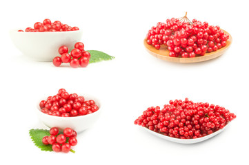 Collection of pimbina berries on a white background clipping path