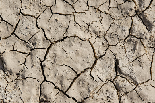 Texture of dry land close-up