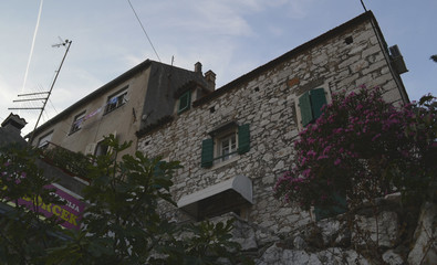 View from ground