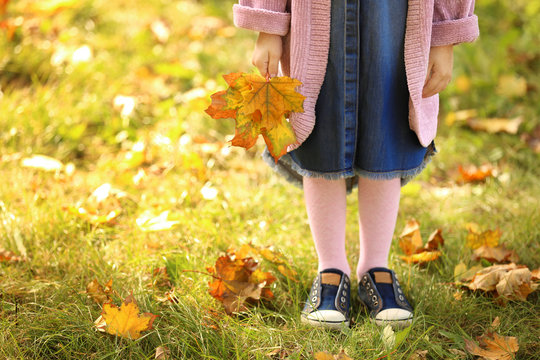 Little girl in autumn park, closeup of legs