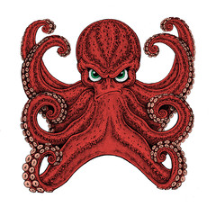 Octopus. Vintage cartoon character