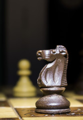 Scacchi fotografati su una scacchiera