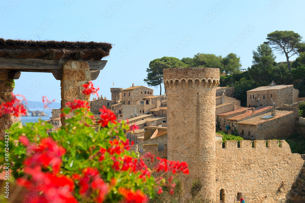 Wall mural Landscape Costa Brava