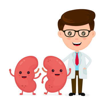 Cute funny smiling doctor and healthy happy kidneys Stock Vector | Adobe  Stock