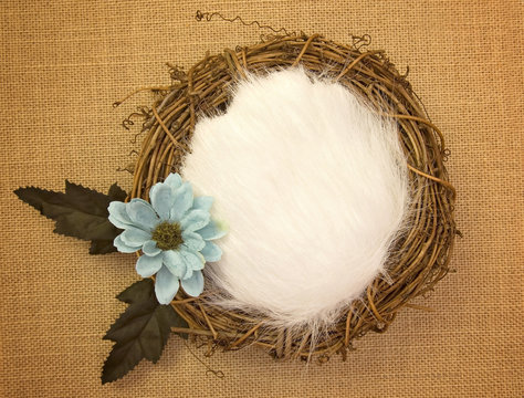 Newborn Digital Backdrop - Nest with White Fur and Blue Daisy