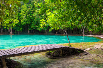 Wooden flooring around the emerald pool in Krabi, Thailand