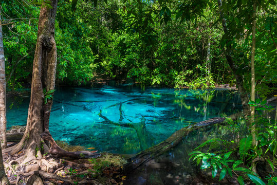 Fototapeta A picturesque blue lake in the jungle of Thailand in Krabi