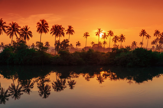 Fototapeta rows of palm trees reflected in a lake at dawn. Tinted in red.